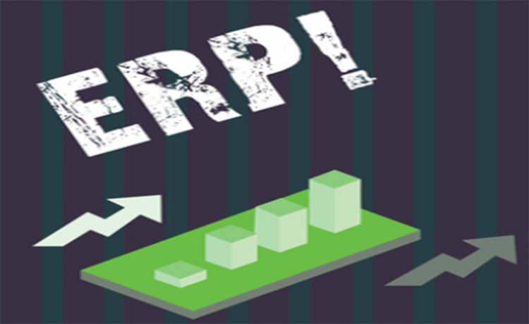 ERP.jpg