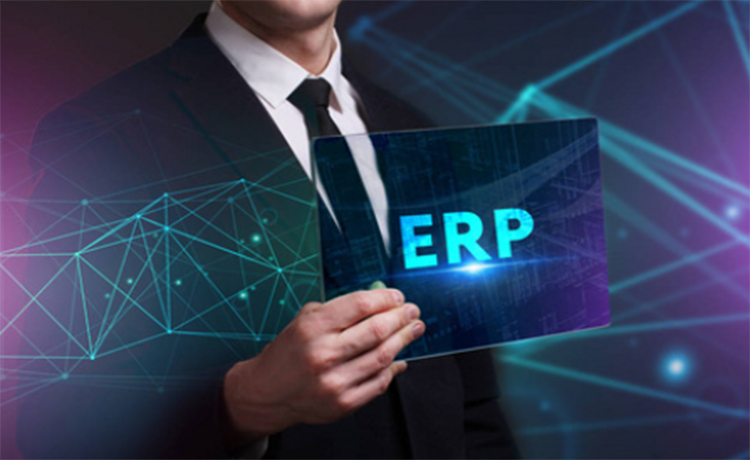erp.jpg